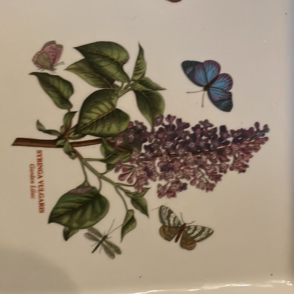 Portmeirion 16 x 10 sandwich tray.  Excellent preloved condition. by Susan Ellis - Picture 3 of 4